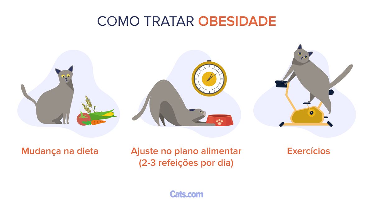 Como tratar a obesidade