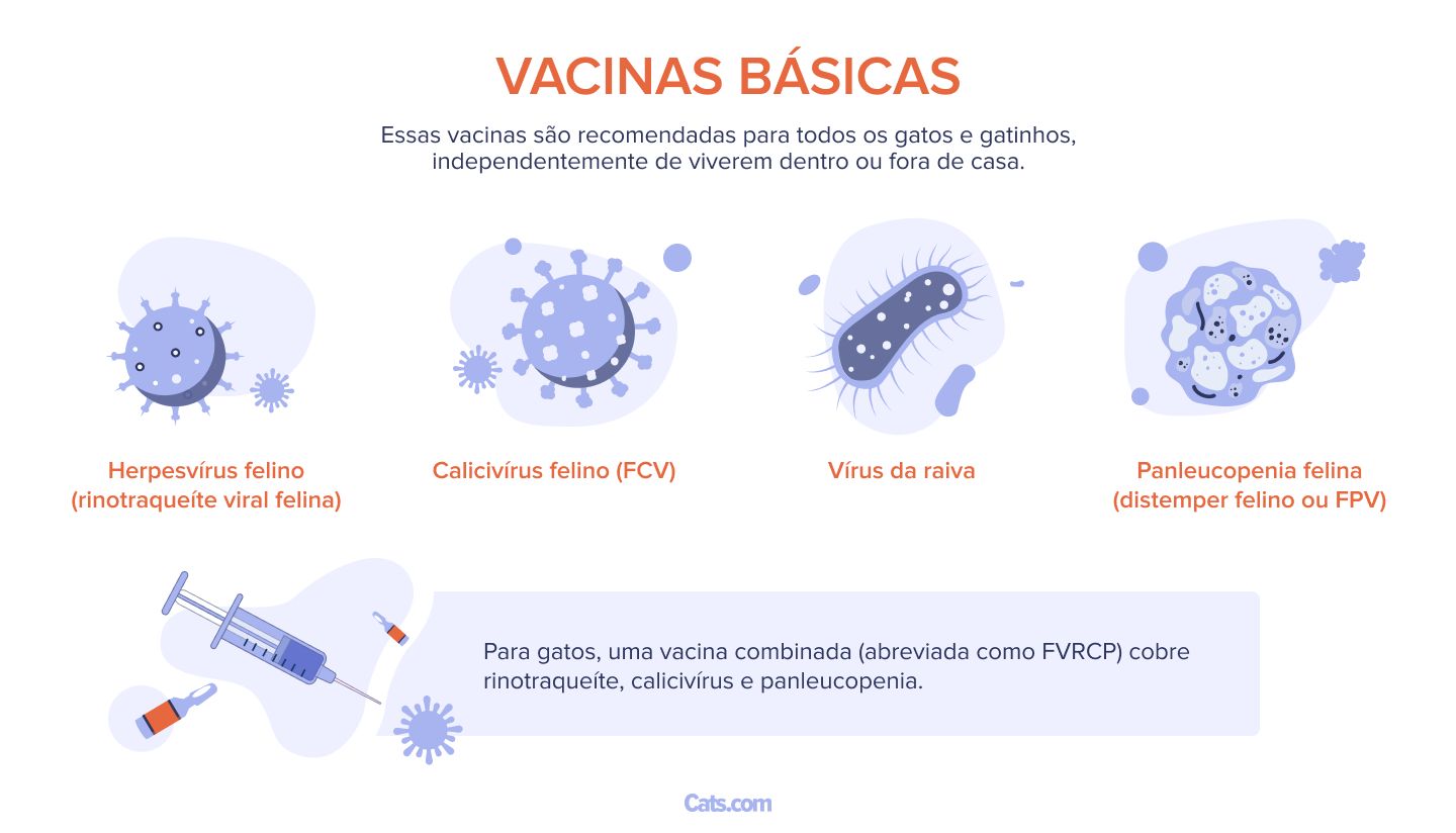 Quais vacinas os gatos precisam?