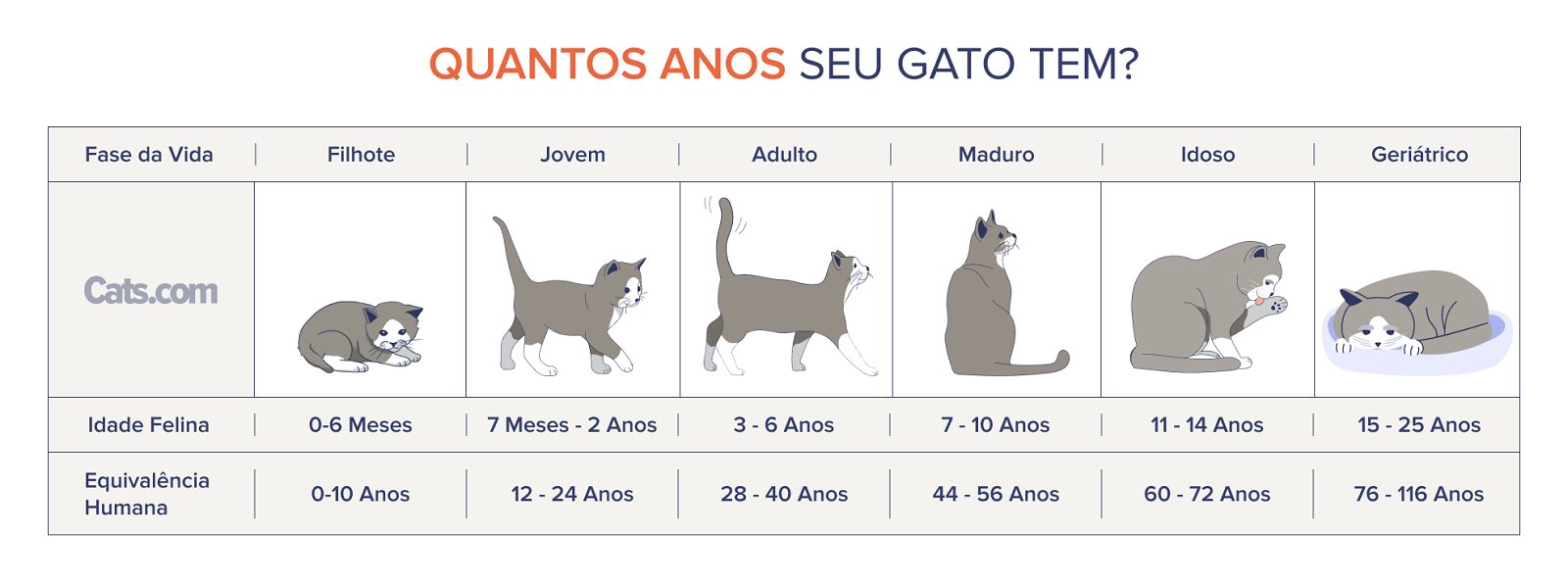 Gráfico de idade do gato quantos anos meu gato tem