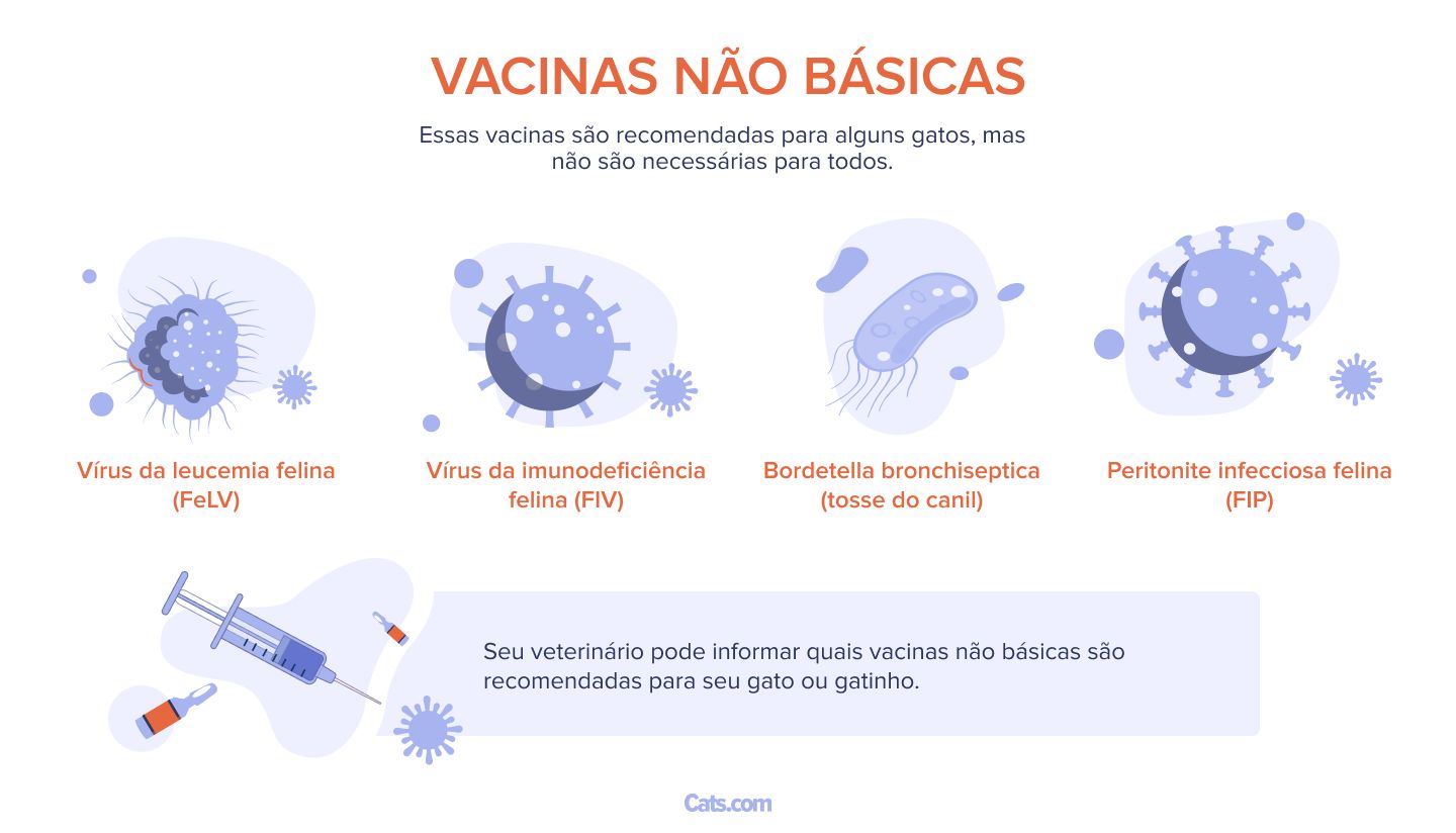 vacinas não essenciais
