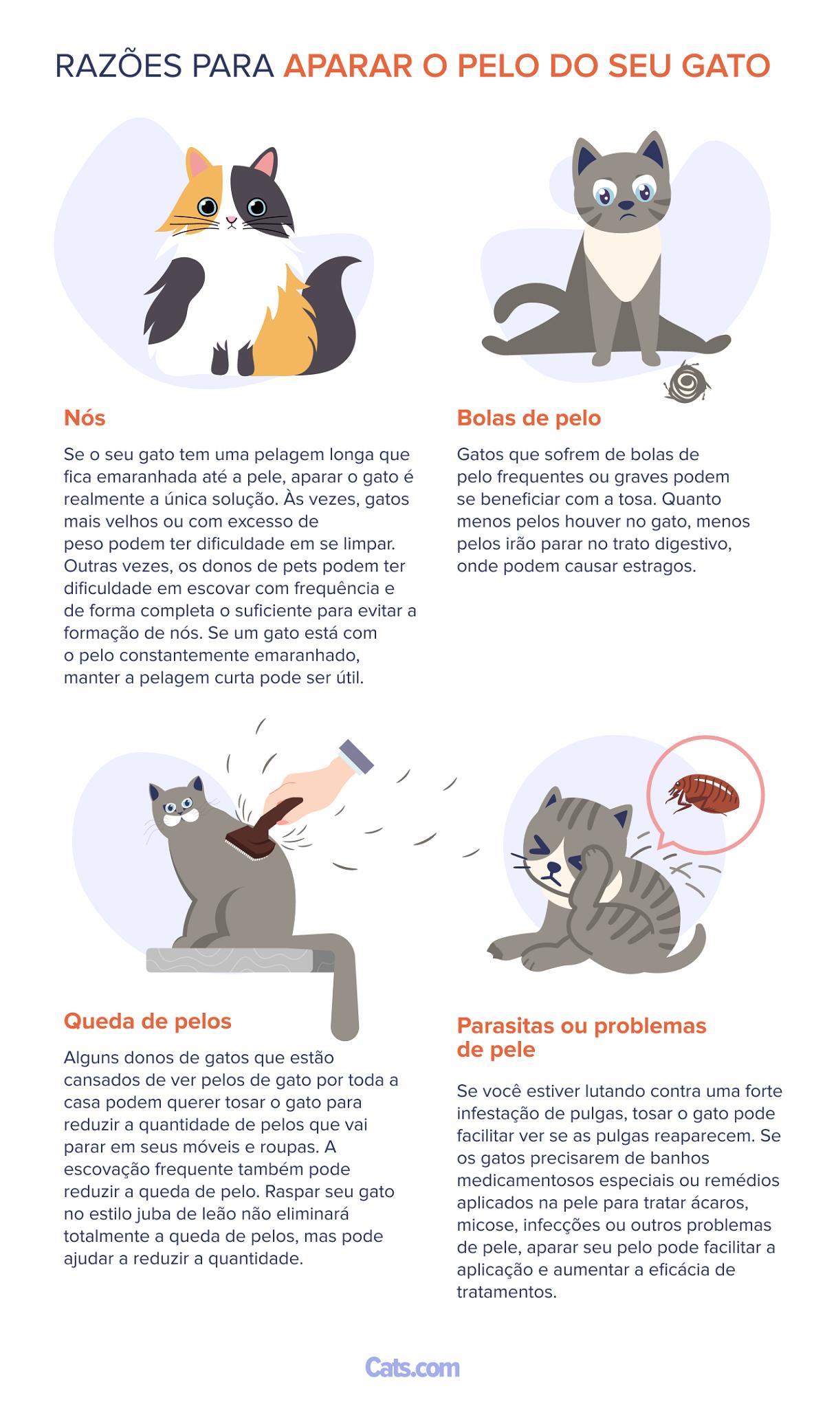 Razões para aparar o pelo de um gato