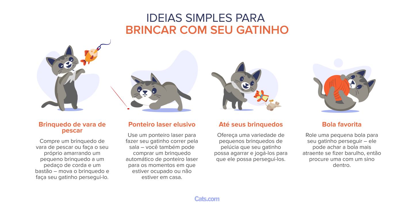 Aqui estão algumas ideias simples para brincar com seu gatinho: