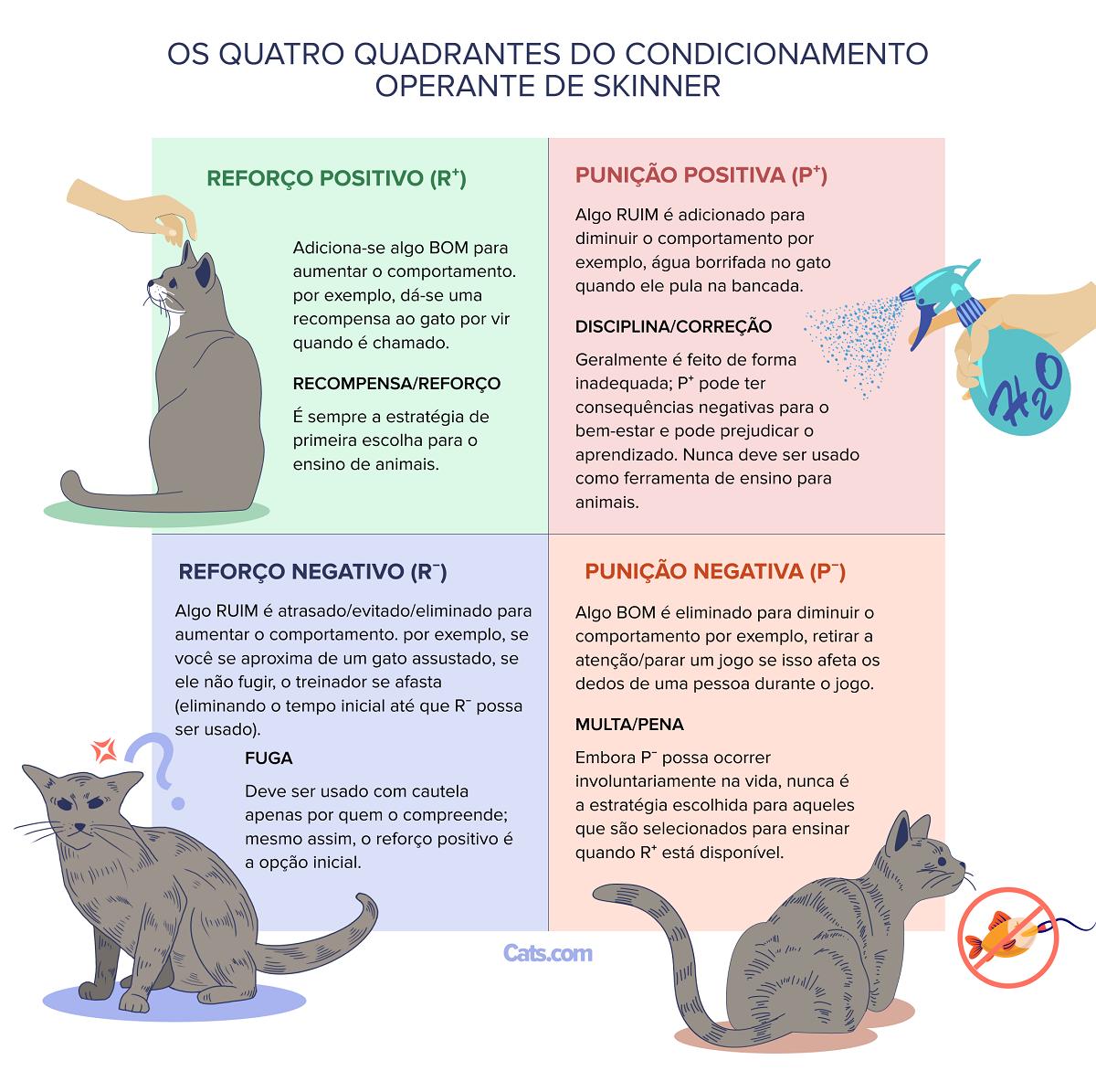 Como Disciplinar um Gato da Maneira Certa