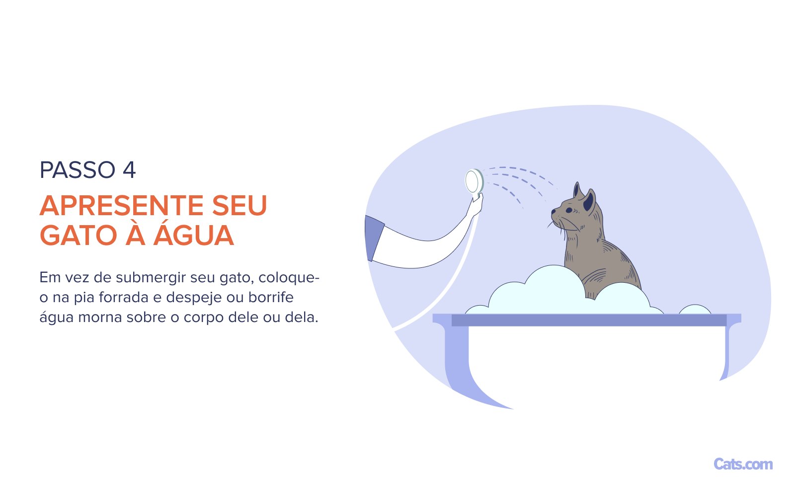 Etapa 4: Introdução à água