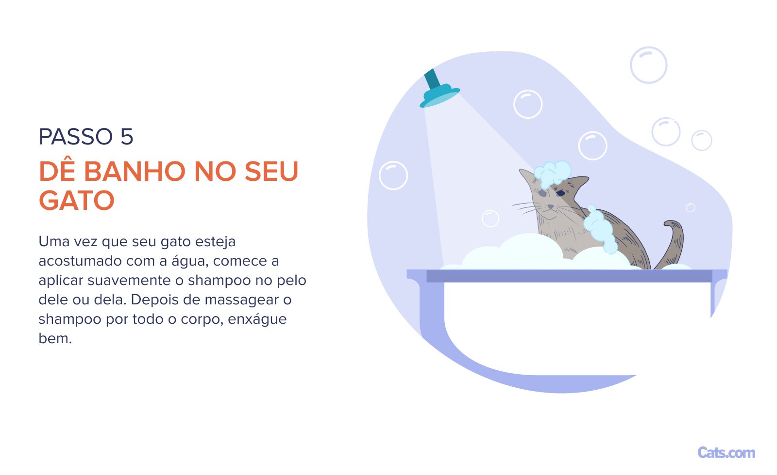 Etapa 5: Dando banho em um gato