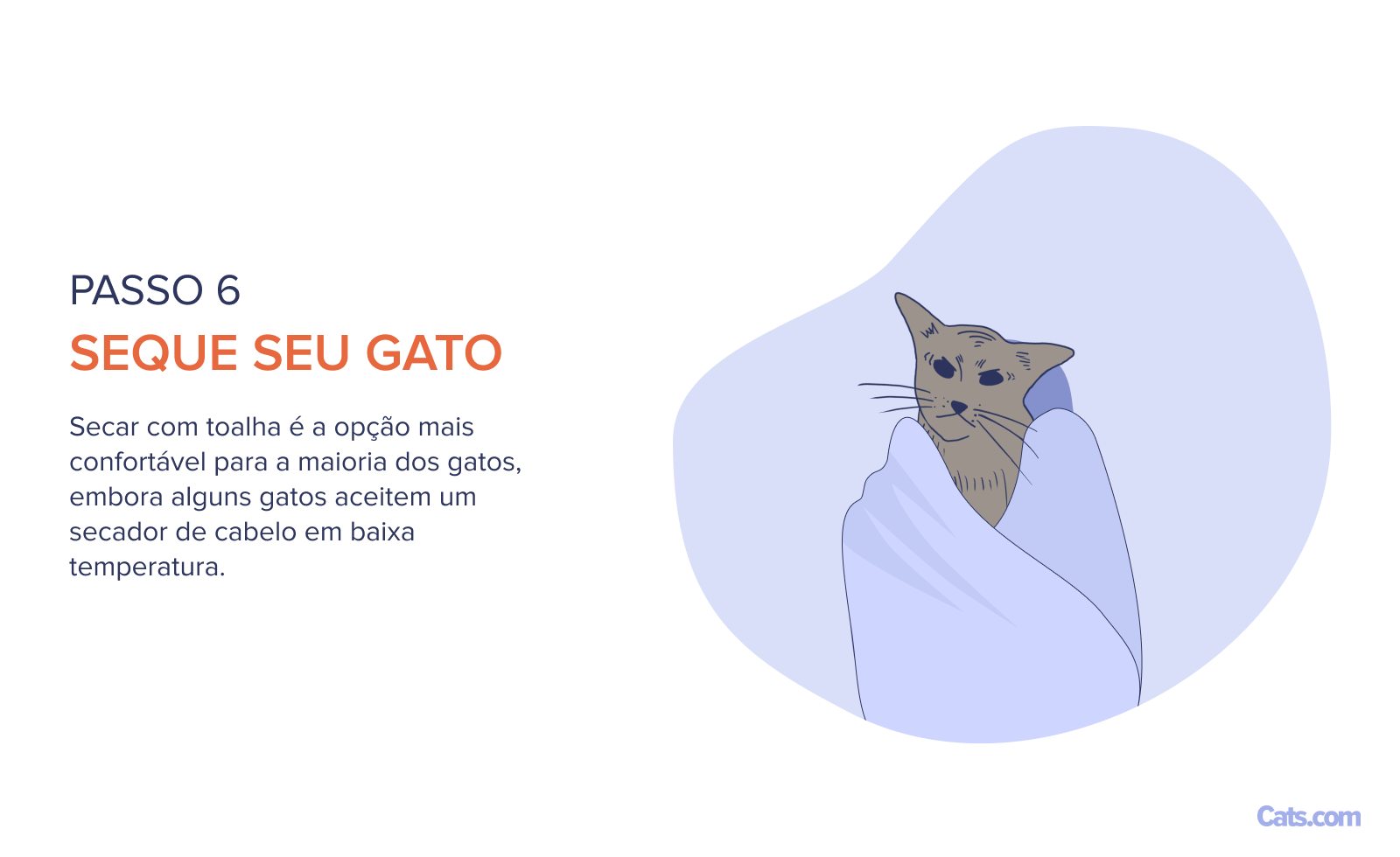 Etapa 6: Processo de Secagem