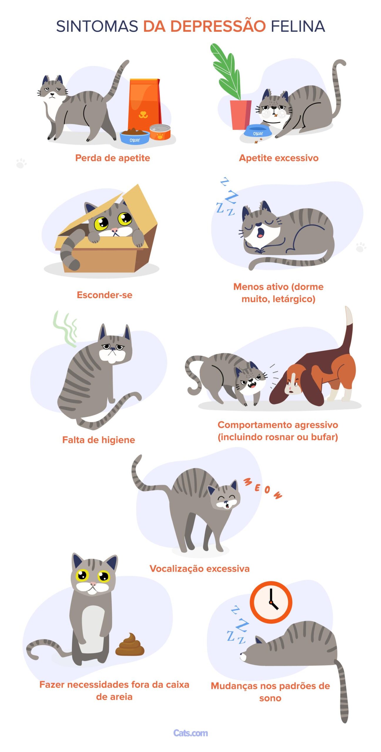 Sinais de depressão em gatos