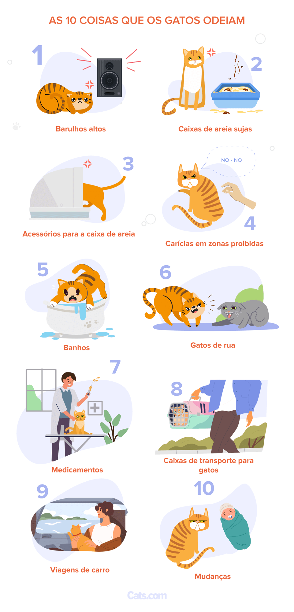 Infográfico: As 10 Coisas que os Gatos Mais Odiam