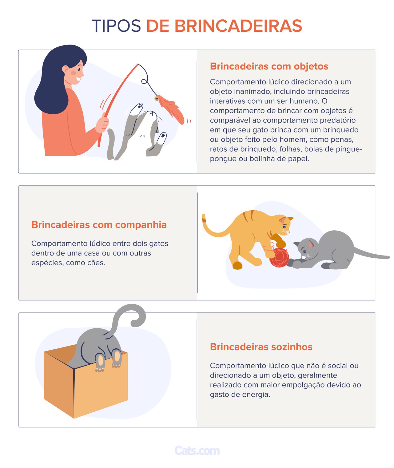 Tipos de brincadeira