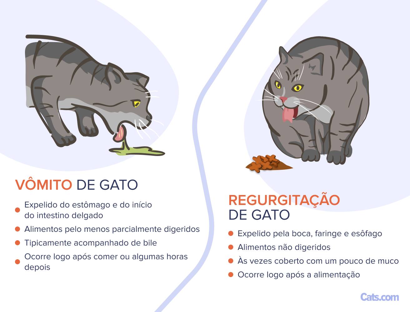 Vômito x Regurgitação: qual dos dois estou vendo?