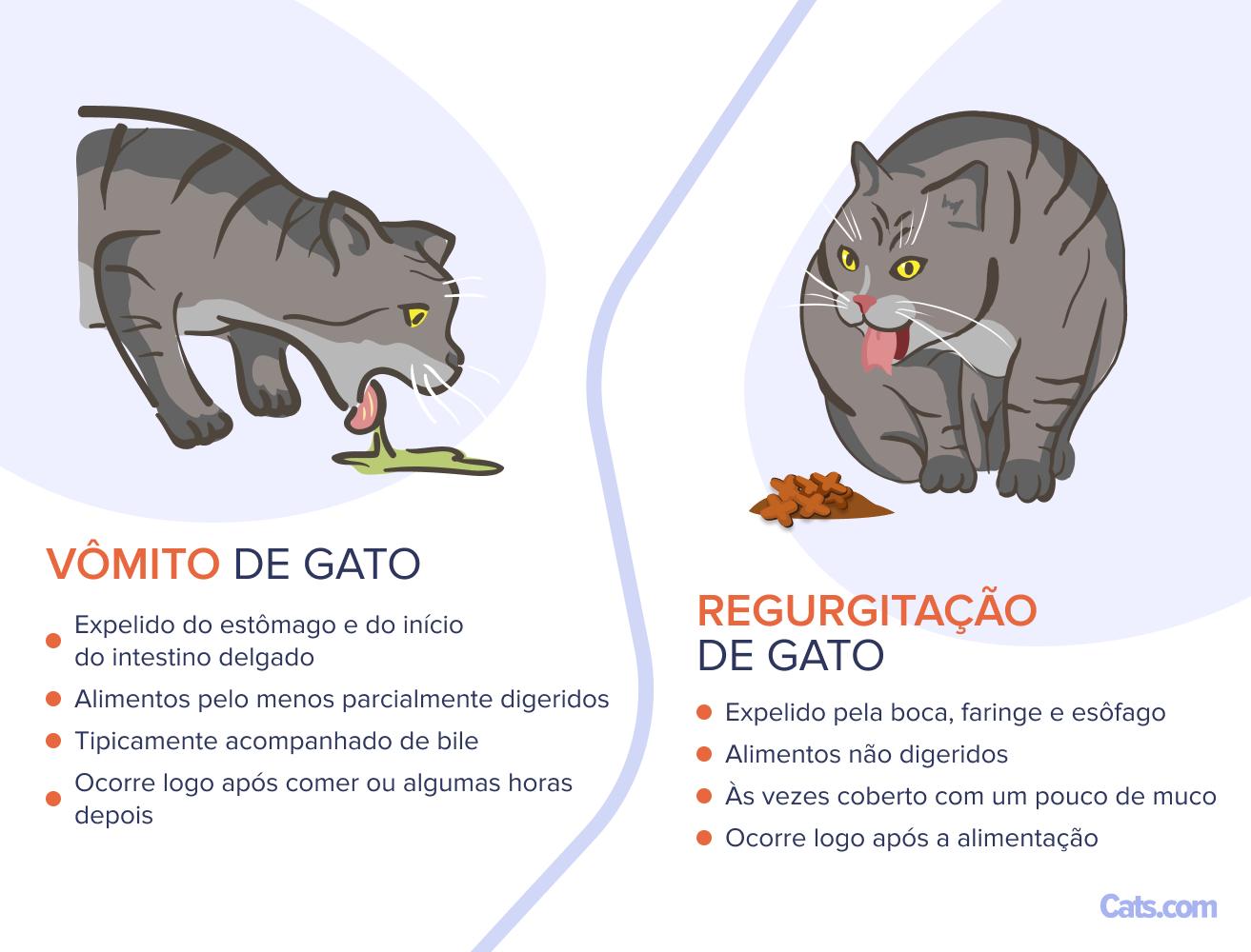 Regurgitação vs. Vômito em gatos
