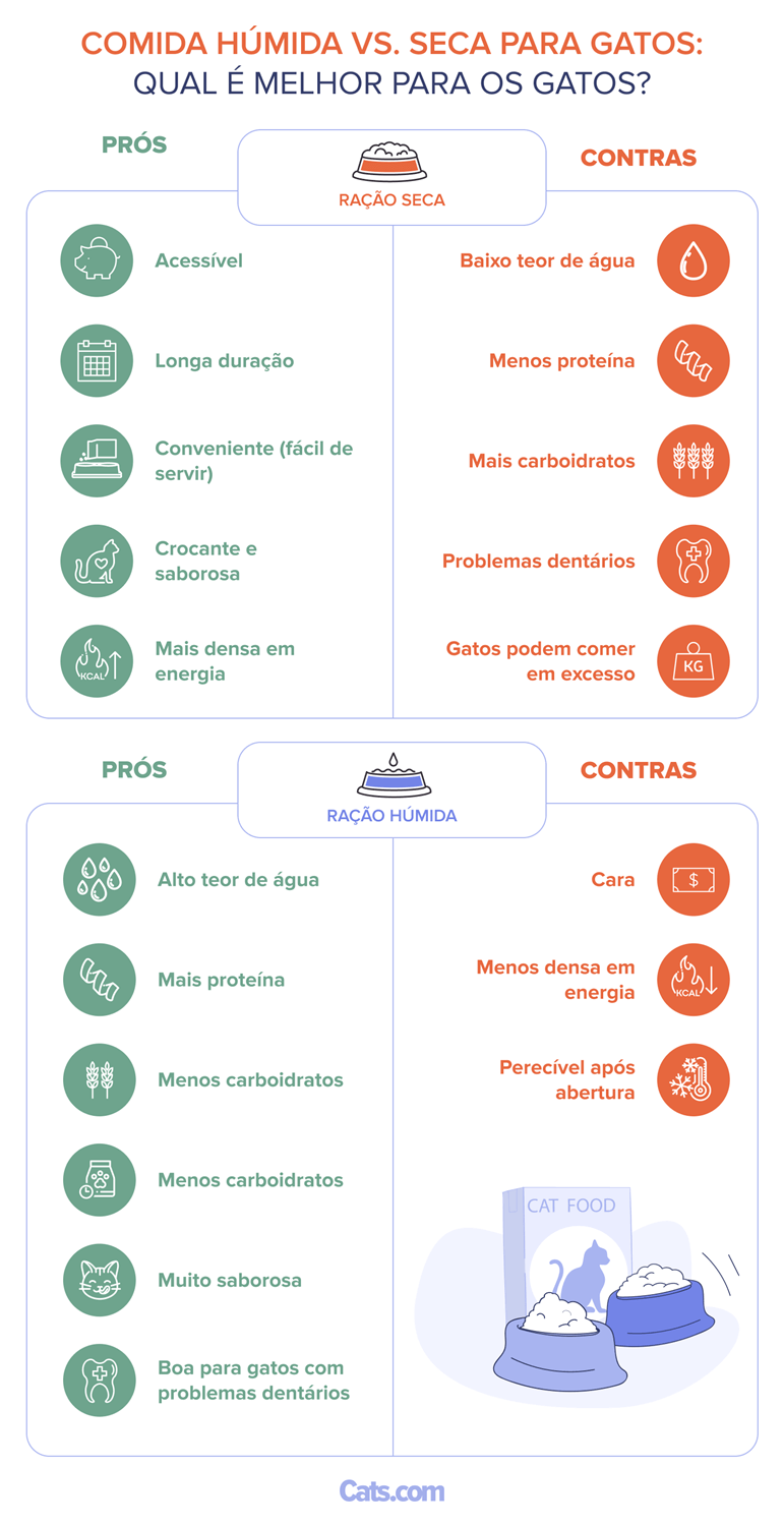 Wet vs Dry Cat Food_ What’s Better For Cats_pt