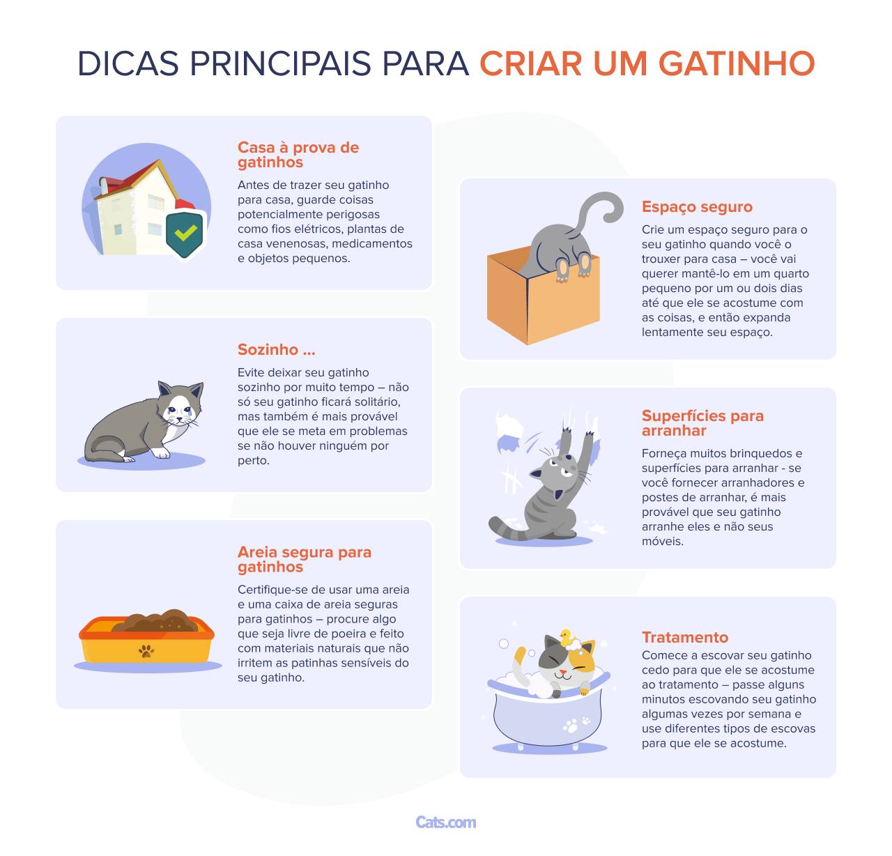 Dicas e truques simples para criar um gatinho filhote