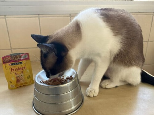Friskies Úmida para Gatos Adultos