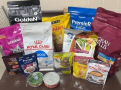 Melhores Rações para Gatos no Brasil