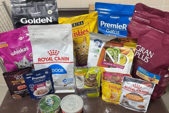 Melhores Rações para Gatos no Brasil