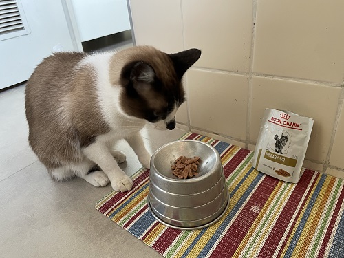Royal Canin (Urinary)