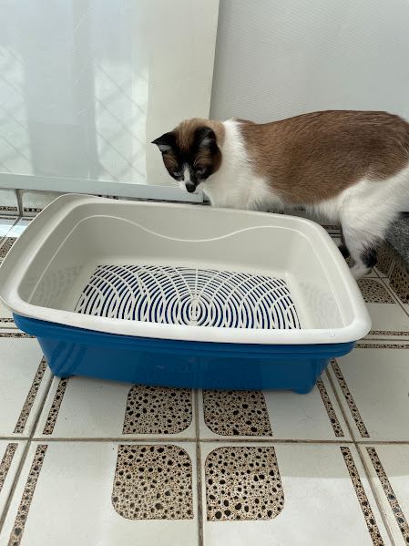 Banheira Gato Furacão Pet Classic Plus Azul