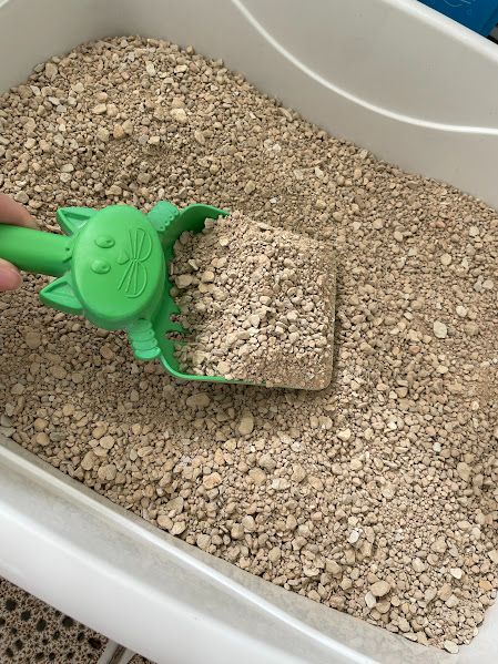 Areia Sanitária Alfapet Kets para Gatos