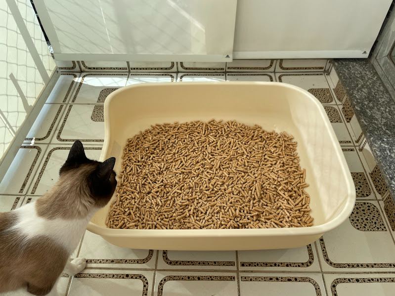 Bandeja Higiênica Caixona Pet Games Bege