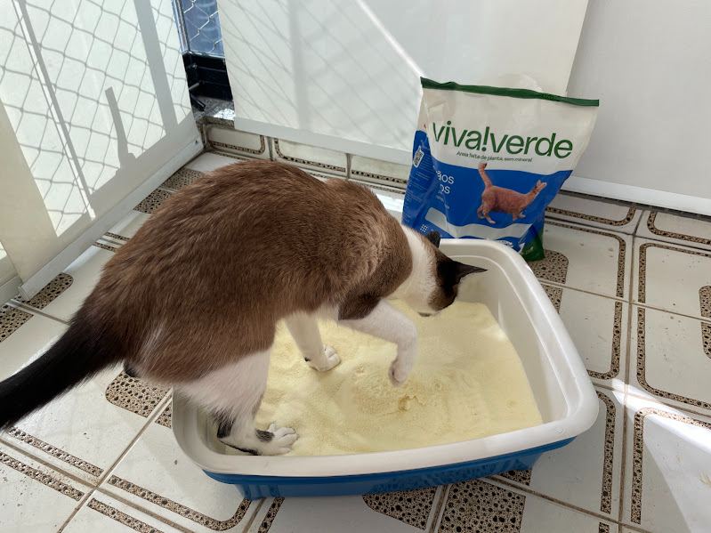 Areia Higiênica Viva Verde Grãos Finos para Gatos