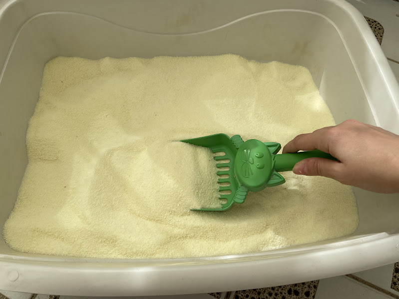 Areia Higiênica Viva Verde Grãos Finos para Gatos