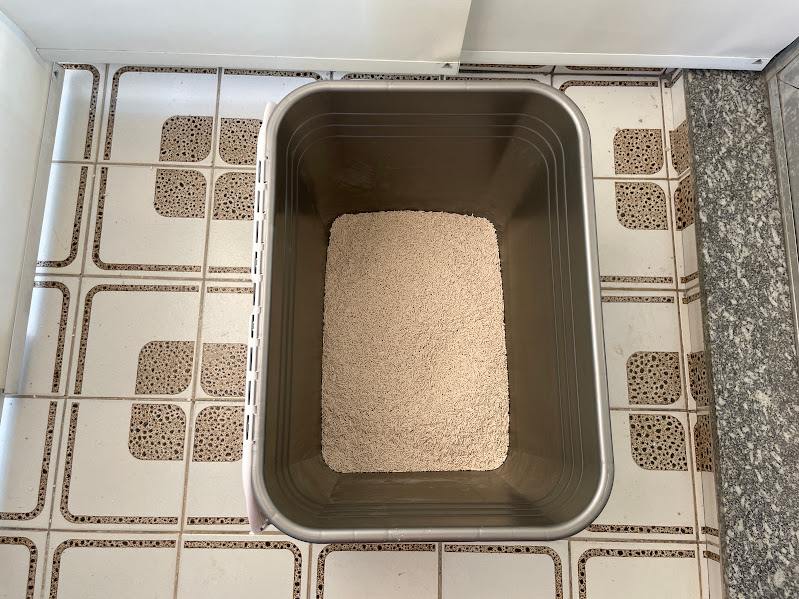 Caixa Sanitária Petmate Top Entry, Cor Cinza