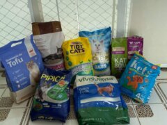 Melhores Areias para Gatos no Brasil