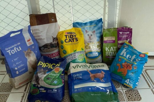 Melhores Areias para Gatos no Brasil