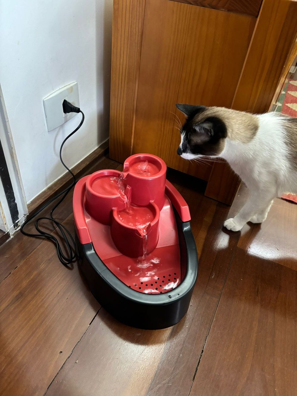 Cascata Fonte De Água para Gatos