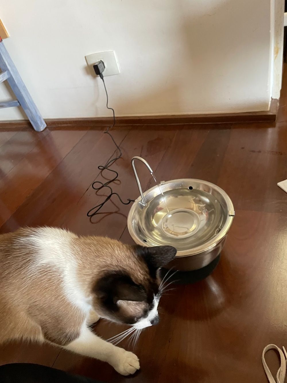 Fonte Bebedouro Automático 100% Inox