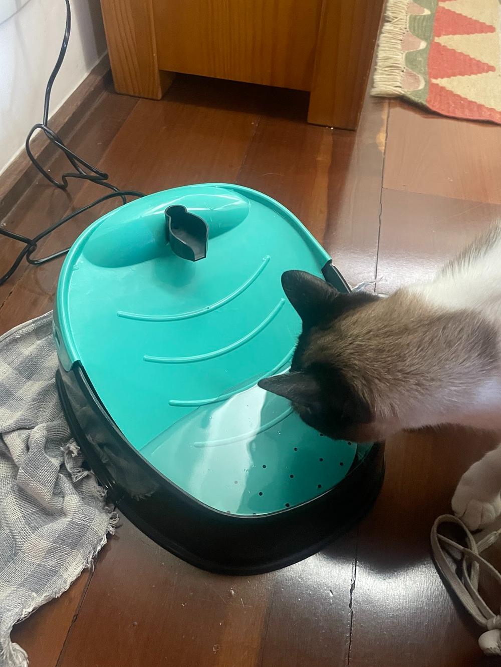 Fonte Furacão Pet Pop Bivolt