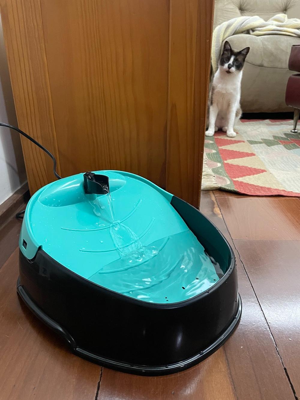 Fonte Furacão Pet Pop Bivolt