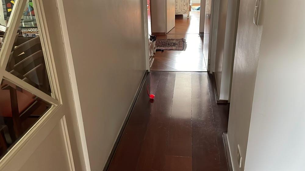 Bolinha Inteligente Giratória Automática Rolamento Gatos Pet