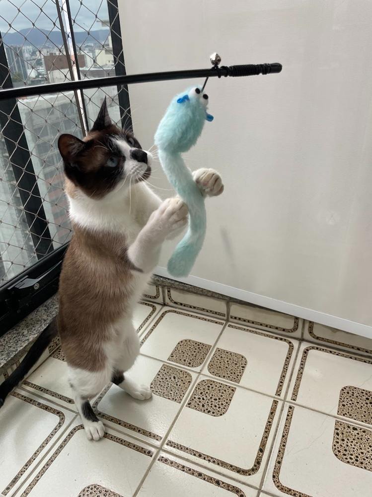Brinquedo Fuzz Varinha de Minhoca