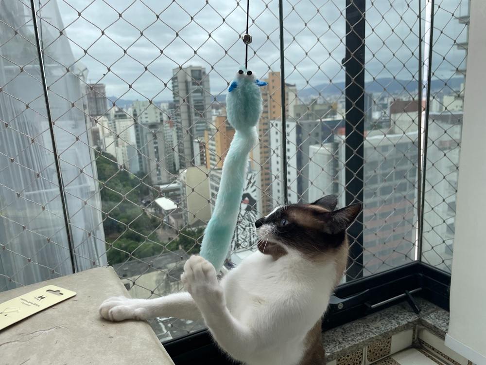 Brinquedo Fuzz Varinha de Minhoca