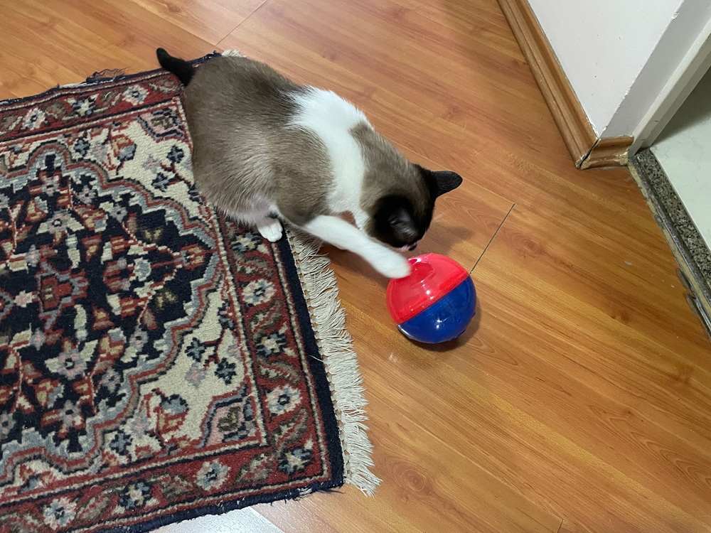 Brinquedo Interativo Pet Games Petball