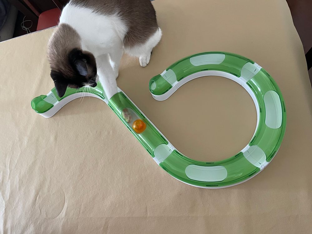 Brinquedo Jogo de Circuito para Gatos Catit 2.0 Hagen