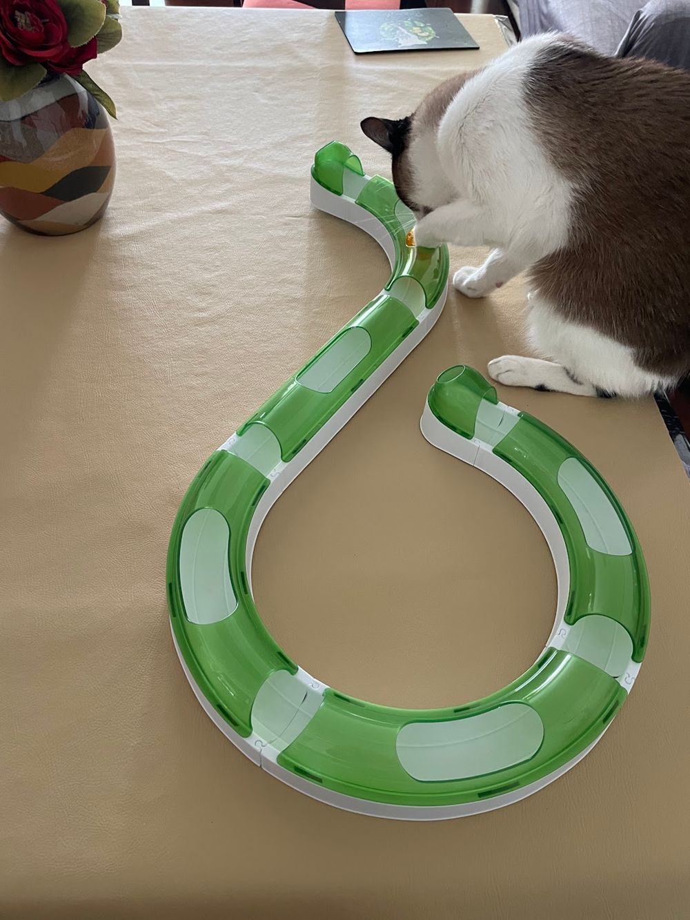 Brinquedo Jogo de Circuito para Gatos Catit 2.0 Hagen