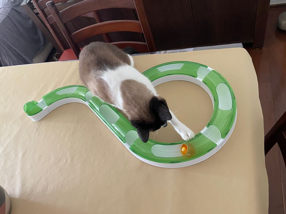 Brinquedo Jogo de Circuito para Gatos Catit 2.0 Hagen