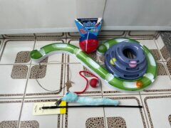 Melhores Brinquedos para Gatos