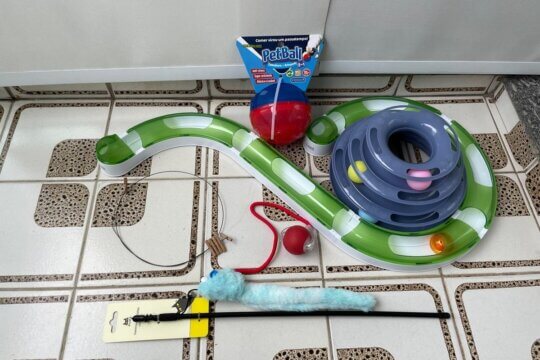 Melhores Brinquedos para Gatos - Testados por nossos Especialistas